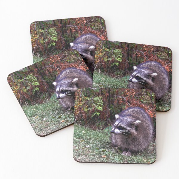 Item preview, Raccoon #9 designed and sold by KingdomWildlife.