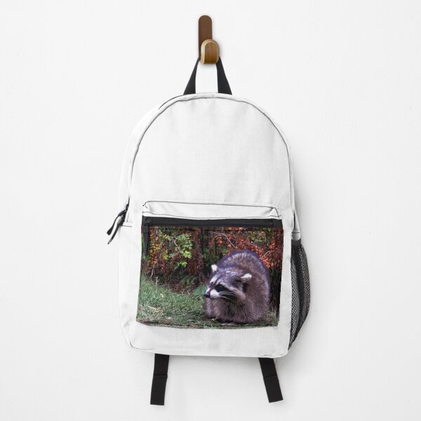 Item preview, Raccoon #9 designed and sold by KingdomWildlife.
