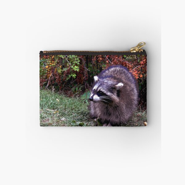 Item preview, Raccoon #9 designed and sold by KingdomWildlife.