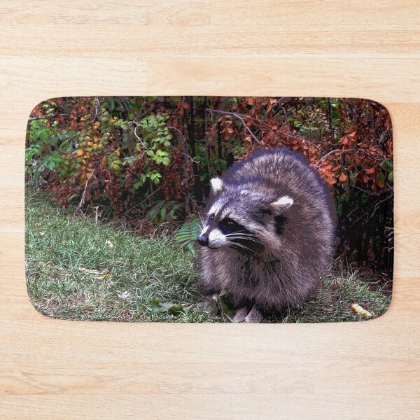 Item preview, Raccoon #9 designed and sold by KingdomWildlife.