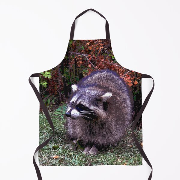 Item preview, Raccoon #9 designed and sold by KingdomWildlife.