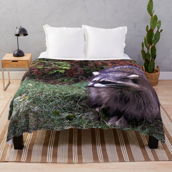 Item preview, Raccoon #9 designed and sold by KingdomWildlife.