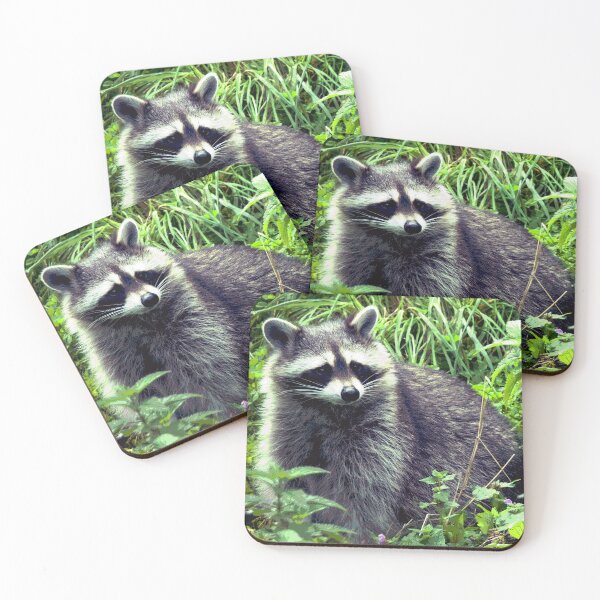 Item preview, Raccoon #10 designed and sold by KingdomWildlife.