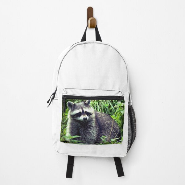 Item preview, Raccoon #10 designed and sold by KingdomWildlife.