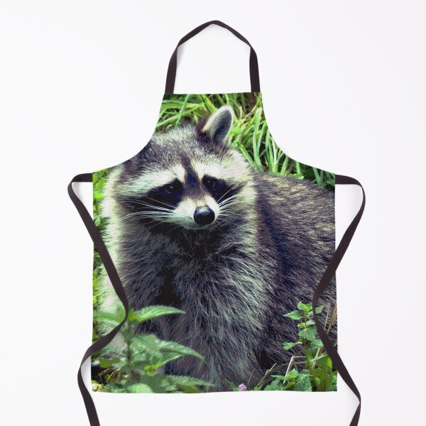 Item preview, Raccoon #10 designed and sold by KingdomWildlife.