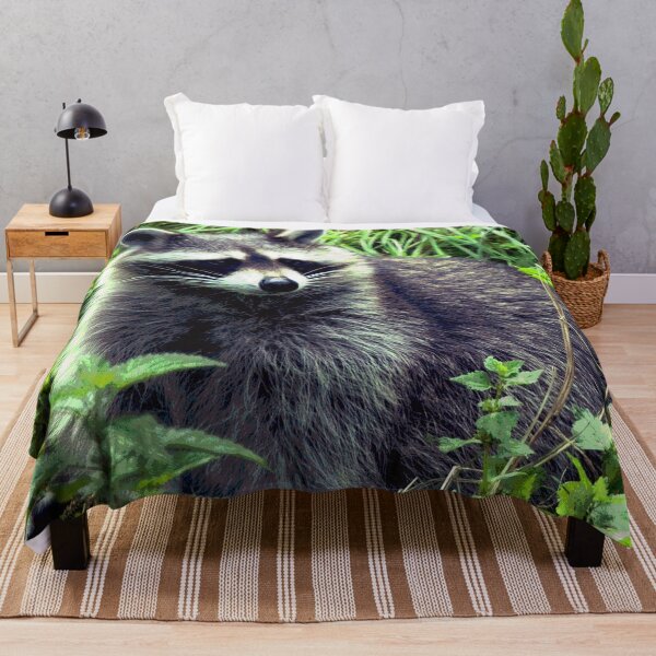 Item preview, Raccoon #10 designed and sold by KingdomWildlife.