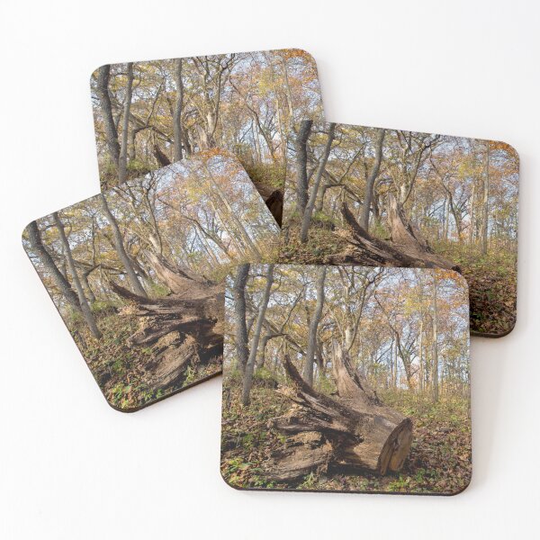 Item preview, Fallen tree in autumn designed and sold by KRFNatureGifts.