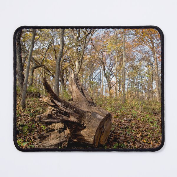 Item preview, Fallen tree in autumn designed and sold by KRFNatureGifts.