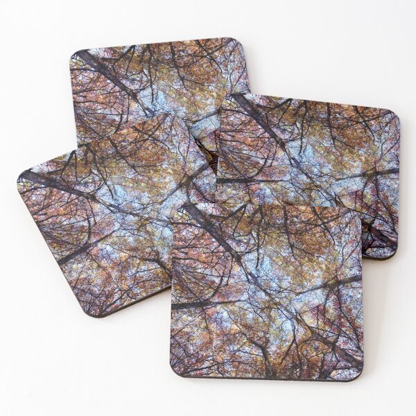 Item preview, Looking up at autumn trees designed and sold by KRFNatureGifts.