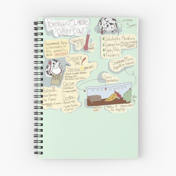 Item preview, Porcellio Laevis Dairy Cow Isopod Care Guide designed and sold by edgethesketch.