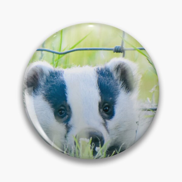 Item preview, Baby Badgie making eyes through fence designed and sold by keithmilligan.