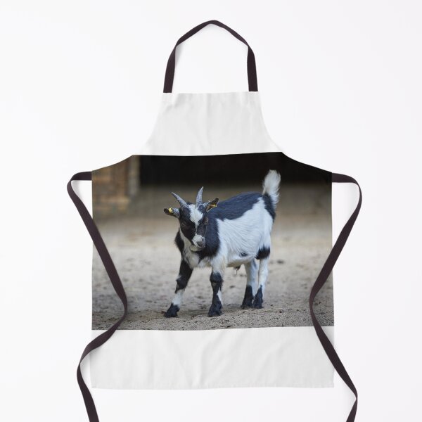 Item preview, Beautiful goat posing designed and sold by ThomasFoto.