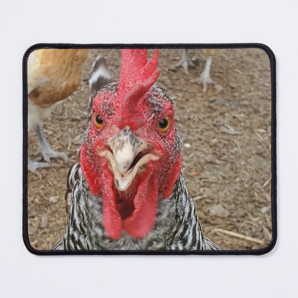 Item preview, B*tch, Please!!! Chicken. designed and sold by Natural Beauty.