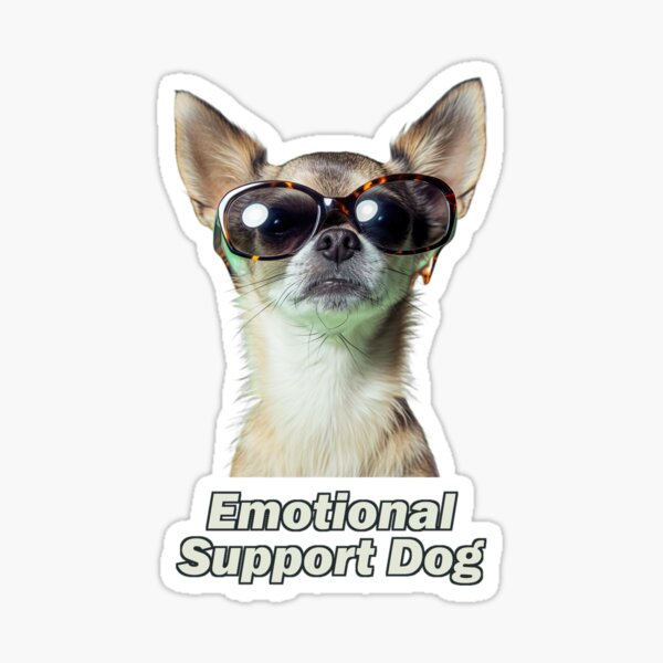 Emotional Support Chihuahua