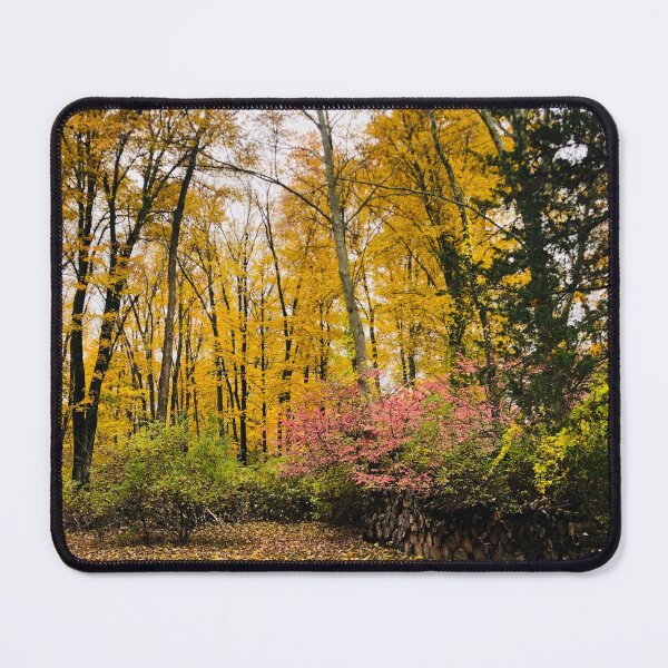 Item preview, Autumn Trees and Leaves in New York designed and sold by CakenCoffeeCafe.