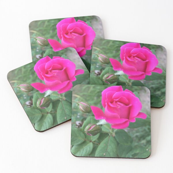 Aperçu de l'œuvre Rose rose vif créée et vendue par aspiritualgirl.