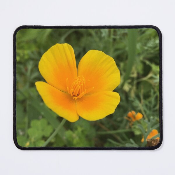 Item preview, Golden California Poppy  designed and sold by aspiritualgirl.