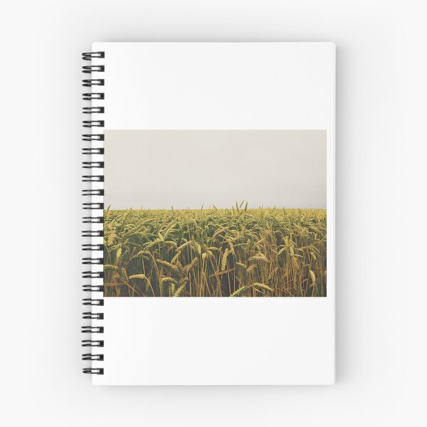 Item preview, Field of wheat crop designed and sold by Creative-zone06.