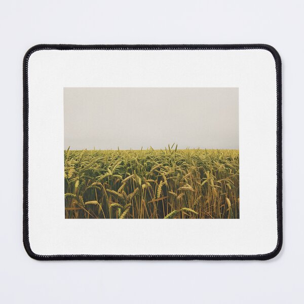 Item preview, Field of wheat crop designed and sold by Creative-zone06.