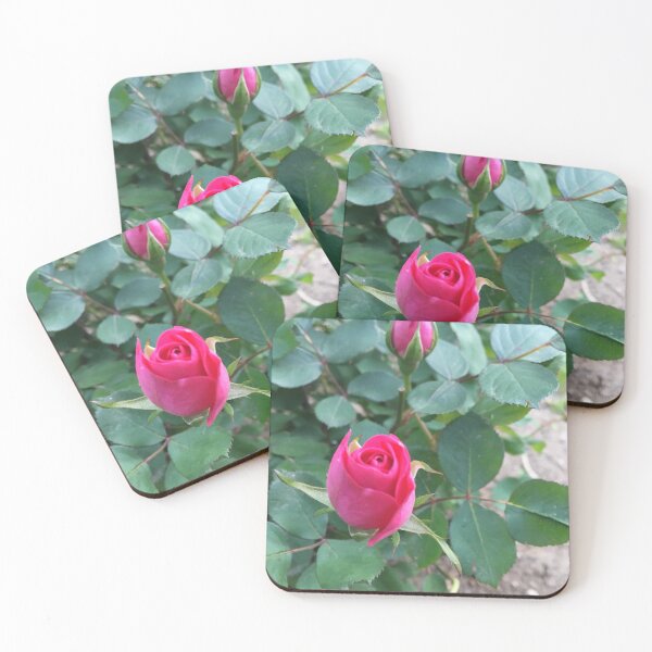 Item preview, Hot Pink Rose Buds designed and sold by aspiritualgirl.