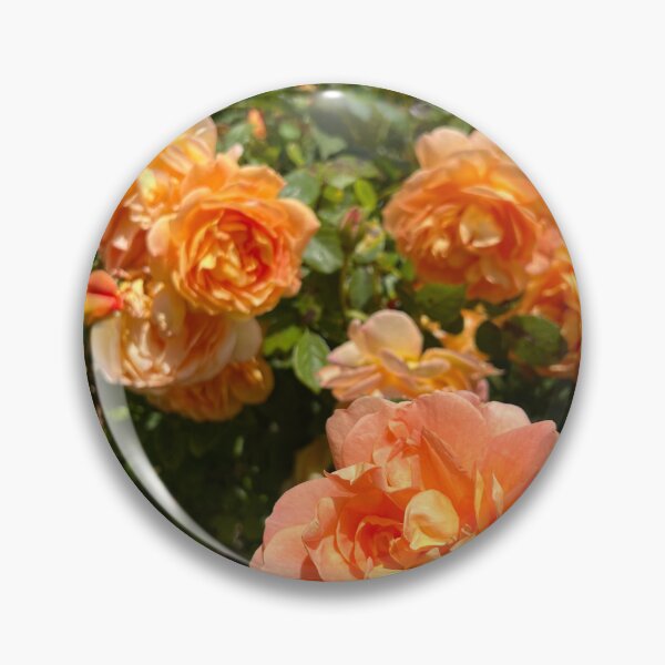 Item preview, Orange Roses designed and sold by artpopnicole.
