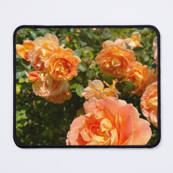 Item preview, Orange Roses designed and sold by artpopnicole.