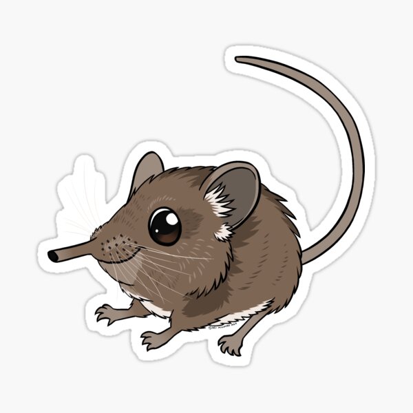 Weird and Wonderful World - Elephant Shrew Sticker