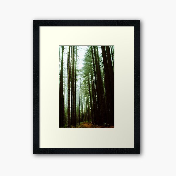 Item preview, Sugar Pine Walk designed and sold by So Much 2 See.