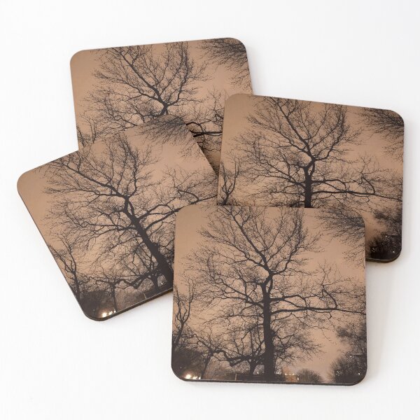 Artikelvorschau, Blattloser Baum vor Sepia-Hintergrund entworfen und verkauft von Fotohound7.