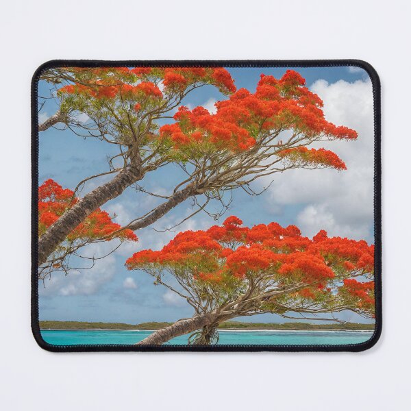 Item preview, ABC island’s royal poinciana designed and sold by seahorse crossing.