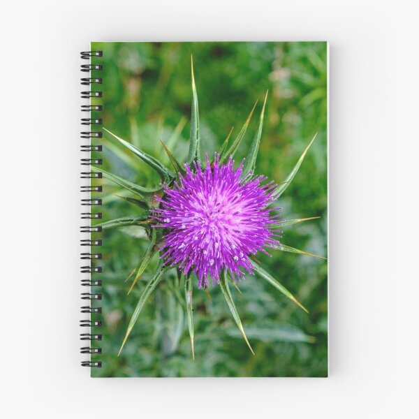 Item preview, Thistle Do Ya designed and sold by Ray's Photos & Art.
