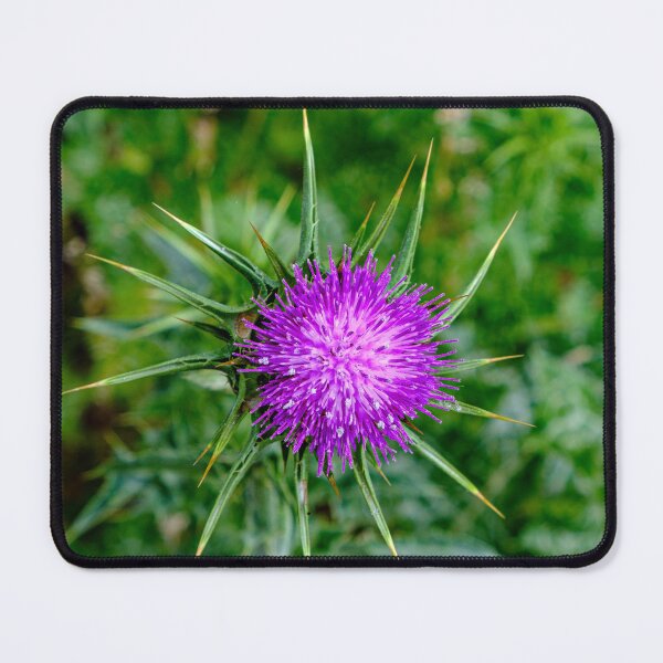 Item preview, Thistle Do Ya designed and sold by Ray's Photos & Art.