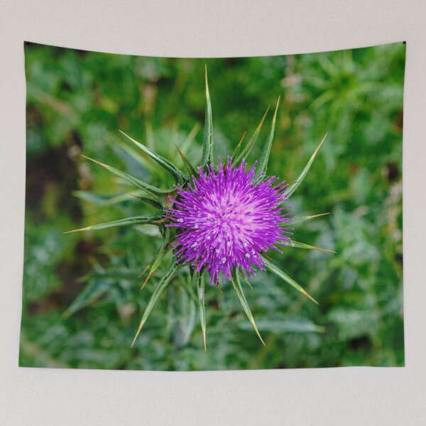 Item preview, Thistle Do Ya designed and sold by Ray's Photos & Art.