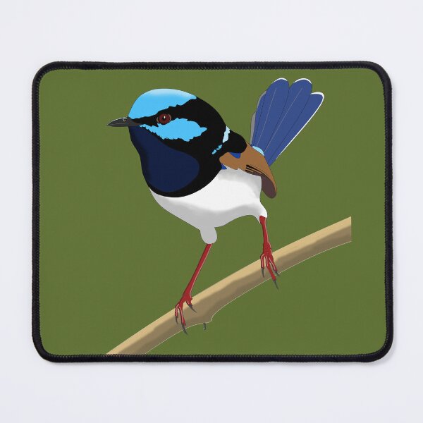 Artikelvorschau, Hervorragender Fairywren entworfen und verkauft von CairnsBirders.