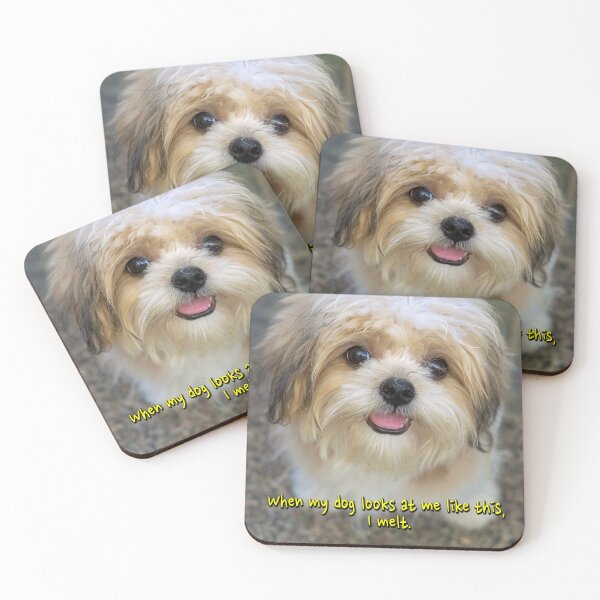 Item preview, When my dog looks at me like this, I melt. designed and sold by likbatonboot.