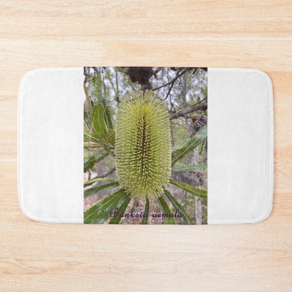 Item preview, Banksia aemula - labelled (Wallum Banksia) designed and sold by Arcane Botanica.