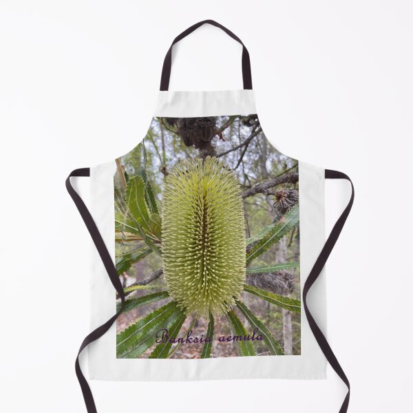 Item preview, Banksia aemula - labelled (Wallum Banksia) designed and sold by Arcane Botanica.