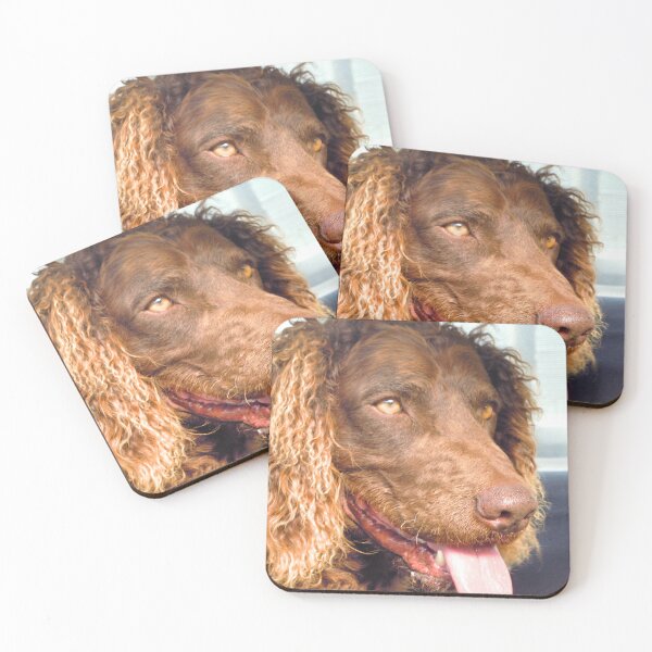 Item preview, Happy Boy designed and sold by Linda Simpson.