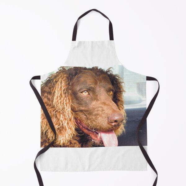 Item preview, Happy Boy designed and sold by Linda Simpson.