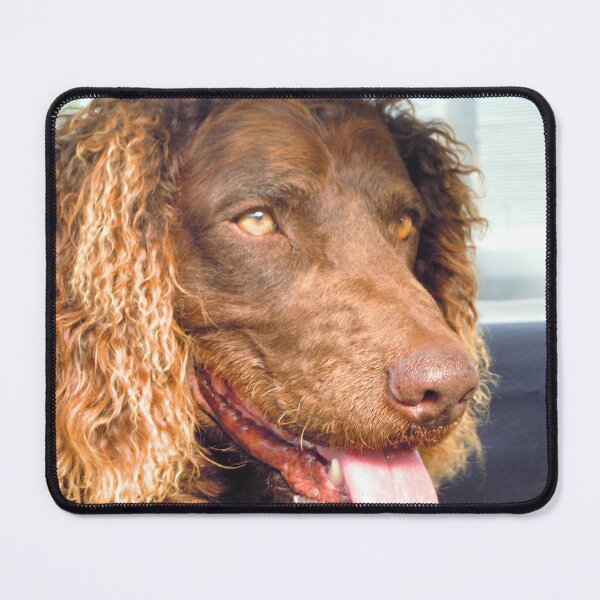 Item preview, Happy Boy designed and sold by Linda Simpson.