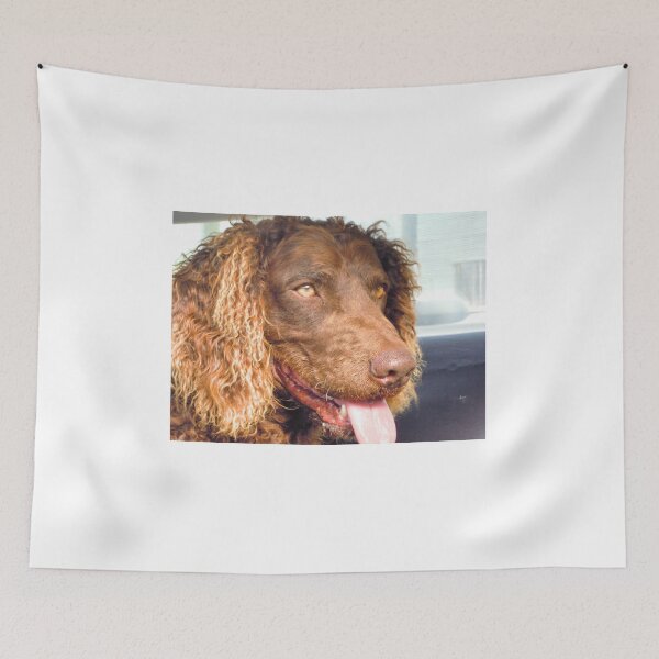 Item preview, Happy Boy designed and sold by Linda Simpson.