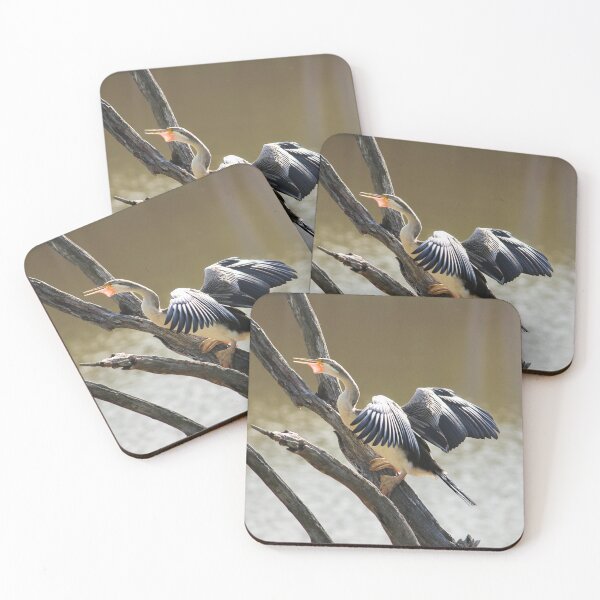 Item preview, Australasian Darter - Australian Native Bird designed and sold by Linda Simpson.