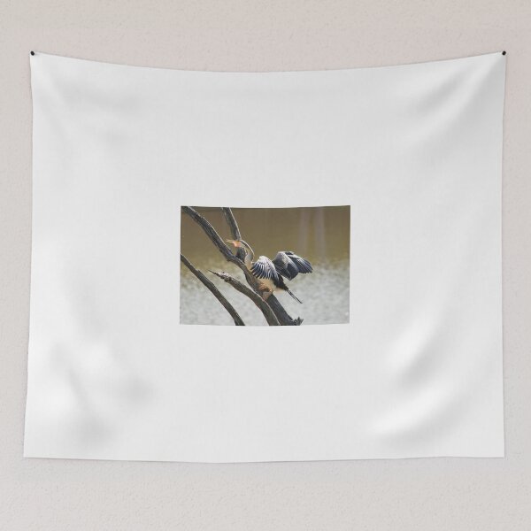 Item preview, Australasian Darter - Australian Native Bird designed and sold by Linda Simpson.