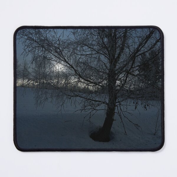Artikelvorschau, Die Birke und der Mond. Vollmond in Parkkuu Januar 2024. entworfen und verkauft von Jouko Lehto Photography.