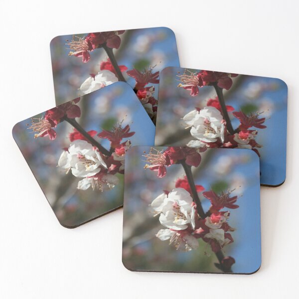 Item preview, Sunlight Embracing Apricot Blossom designed and sold by taiche.