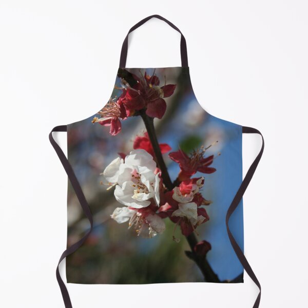 Item preview, Sunlight Embracing Apricot Blossom designed and sold by taiche.