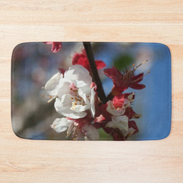 Item preview, Sunlight Embracing Apricot Blossom designed and sold by taiche.