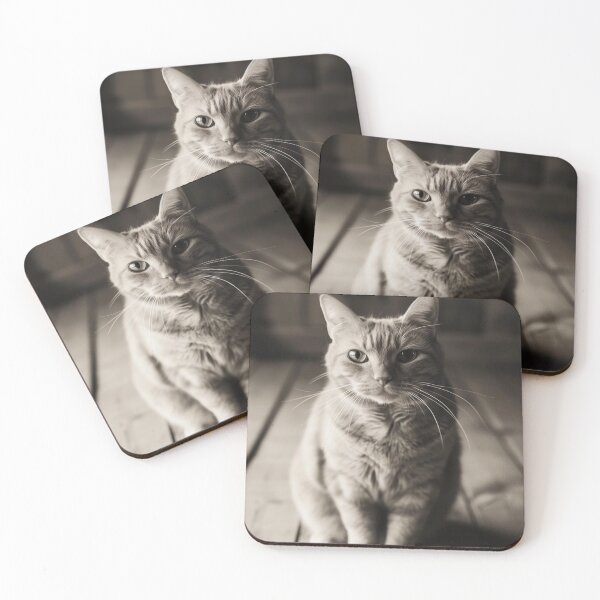 Item preview, Elegant cat designed and sold by LynZorHome.