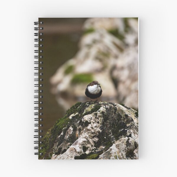 Item preview, "Dipper (Cinclus cinclus)" designed and sold by Andreas Koerner.