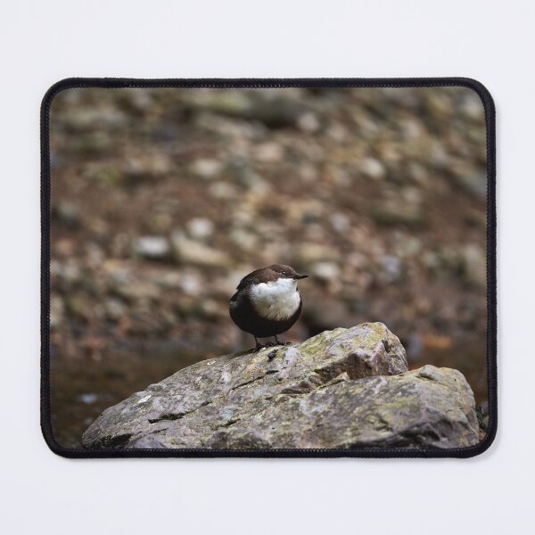 Item preview, "Dipper (Cinclus cinclus)" designed and sold by Andreas Koerner.